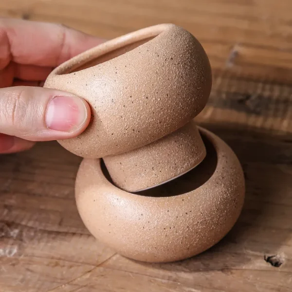 Custom Flowerpot Coarse Ceramic Planter8